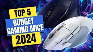 Best Budget Gaming Mice 2024️ Which Budget Gaming Mice Should You Buy in 2024?