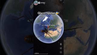 I Found Giant Spider On Google Earth  #shorts