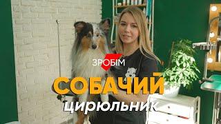 Бросила работу в IT чтобы стричь собак #монолог грумера