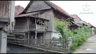 Rumah Panggung Di Desa KangKung #rumahpanggungkayu #desakangkung