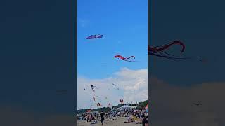 Фестиваль воздушных змеев Клайпеда #klaipeda #balticsea #kite