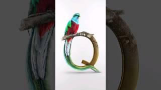 Letter Q Portrait #photoshoptutorial #photoshop #shorts #graphicdesign #tutorial #editing