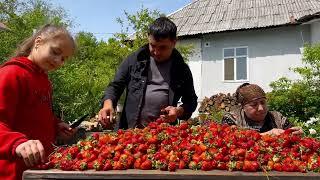 Oma kocht 50 kg Erdbeermarmelade Kompott und Saft