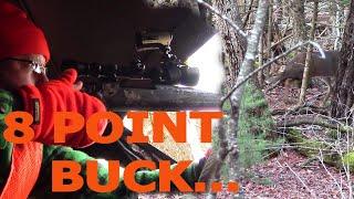 New England 8 Point Buck from a Ground Blind - Maine Rifle Season