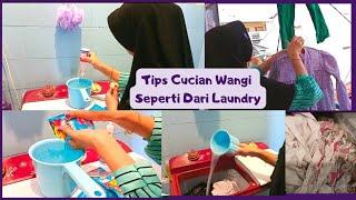 Tips Mencuci Agar Cucian Wangi Seperti Dari Laundry  Kegiatan IRT Di Kontrakan 3 Petak