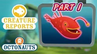 Octonauts - Creature Reports Part 1  Cartoons for Kids  Underwater Sea Education