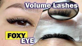 VOLUME LASH EXTENSIONS  Foxy eye  Full eyelash removal