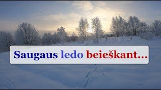 Saugaus ledo beieškant... - Gabrielius Ser