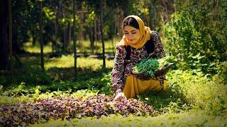 Cooking Ghormeh Sabzi the Most Popular Iranian Stew  Rural Cuisine