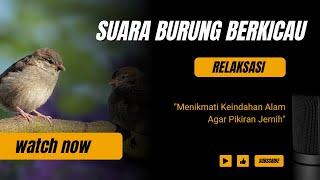 Suara Burung Berkicau Relaksasi Alami