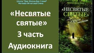 НЕСВЯТЫЕ СВЯТЫЕ. 3 аудиокнига. Тихон Шевкунов.