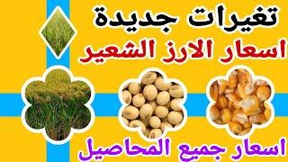 اسعار الارز الشعير اليوم _ الاثنين 1-7-2024 _ اسعار جميع المحاصيل والحبوب