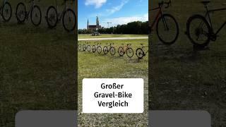 Welches Gravel-Bike passt zu Dir?