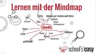 Effektives Lernen mit der Mindmap