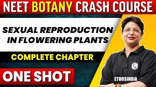 SEXUAL REPRODUCTION IN FLOWERING PLANTS in 1 Shot - All Concepts Tricks & PYQs Covered  NEET