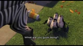 English lessons with Marty C-02-Penguins
