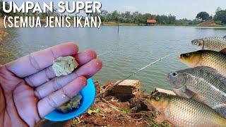 UMPAN SUPER PALING JITU SEMUA IKAN SUKA SIAP TANDING