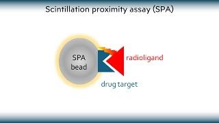 Scintillation proximity assay.  What it is how it works and what it is used for.