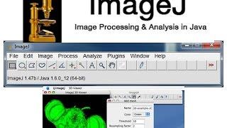 How to download image J