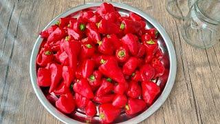 This PEPPER is very tasty  I definitely do it every year  It is very beneficial for metabolism 