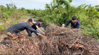 Phát Hiện Ổ Chuột Ở Tập Trung -  Hunting  - TT1957