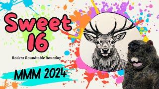 Rodent Recap - 2024 MMM - Sweet 16