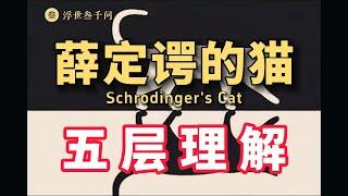 【量子力學篇-17期】薛定谔的貓的五層理解，看看妳在第幾層？