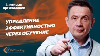 Управление эффективностью через обучение