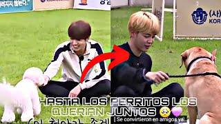 JIKOOK- Conexión sorprendente con lindos cachorrosLOS PERRITOS LOS QUIEREN JUNTOS 🩷