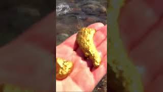 Minor signs of gold near us