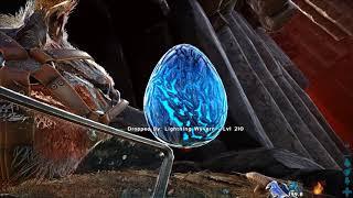 Maewings are busted Wyvern egg grabbing made easy