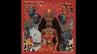 Boddhi Satva & Pebbles - Try A Litle Something Ancestral Soul Mix