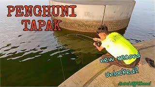 #EP934 Ditarik Monster Penghuni Tapak - memancing di jambatan kedua Pulau Pinang