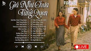 Nhạc Cover Hay Nhất 2024 - Nhạc Ballad 2024 - Nhạc 8x 9x Đời Đầu - Thành Đạt Cover