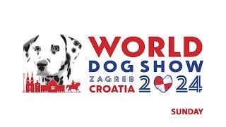 WDS 2024 ZAGREB - Sunday