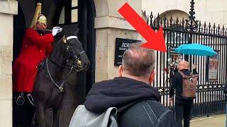 Kings Guard Furious at Man Deliberately Upsetting His Horse