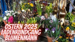 Ostern 2023 - Impressionen aus dem Blumenladen -  Rundgang durch den Blumenladen vom Blumenmann