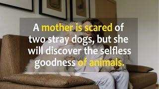 A mother is scared of two stray dogs but she will discover the selfless goodness of animals..