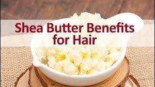 10 Best Benefits of Shea Butter for Hair