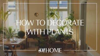 Decorate with plants 4 indoor gardening ideas