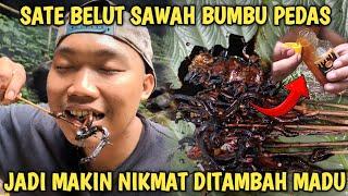 MASAK SATE BELUT HASIL BERBURU DI SAWAH