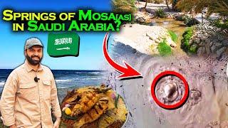 12 Springs of Prophet MosesAS Maqna ist Real one ?  Saudi–Egypt Border &  Fish  Ep05