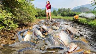 The girl drained the water from the abyss to harvest large fish and bring them to the market