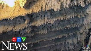Spray foam insulation turns into a home renovation nightmare for Calgary couple