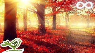 Beautiful Romantic Music Relaxing Music Piano Music Violin Music Guitar Music Sleep Music 101