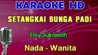 SETANGKAI BUNGA PADI - Elvy Sukaesih  KARAOKE Nada Wanita