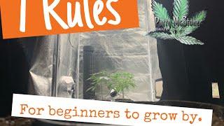 7 Rules for beginners to grow by.  Grow weed easy with LED’s.