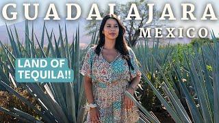 GUADALAJARA IS THE CULTURAL HEART OF MEXICO TEQUILA TASTING