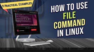 How to Use “file” Command in Linux 9 Practical Examples  LinuxSimply