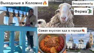 КОЛОМНА ЧТО ПОСМОТРЕТЬГДЕ ВКУСНО ПОЕСТЬ ФЕРМА КРОКОДИЛОВВЫХОДНЫЕ В КОЛОМНЕ